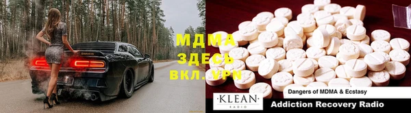 сатива Надым