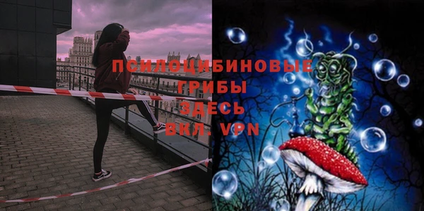 не бодяженный Арсеньев